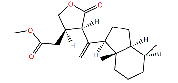 Cheloviolene E